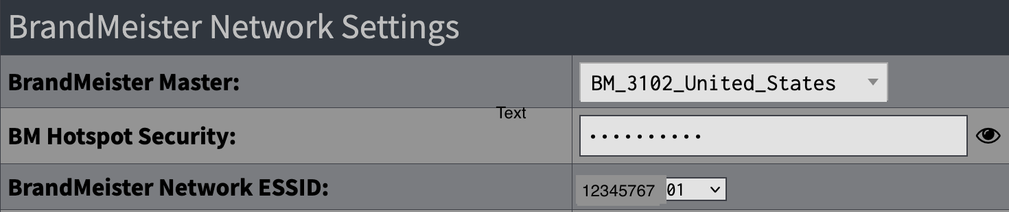 BrandMeister Setup section